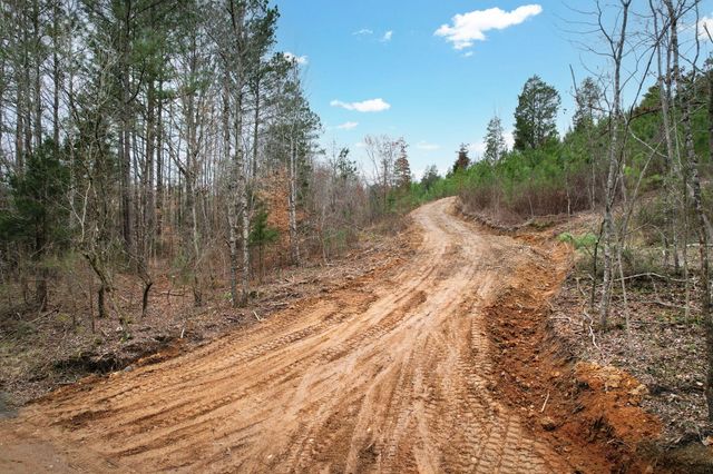 00 Big Sewee Lot 5, Decatur, TN 37322