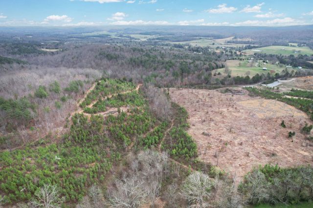 00 Big Sewee Lot 5, Decatur, TN 37322