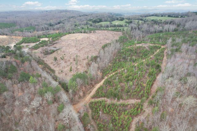 00 Big Sewee Lot 5, Decatur, TN 37322