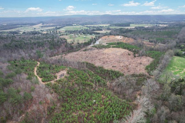 00 Big Sewee Lot 5, Decatur, TN 37322