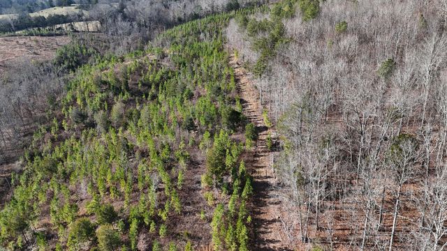 00 Big Sewee Lot 5, Decatur, TN 37322