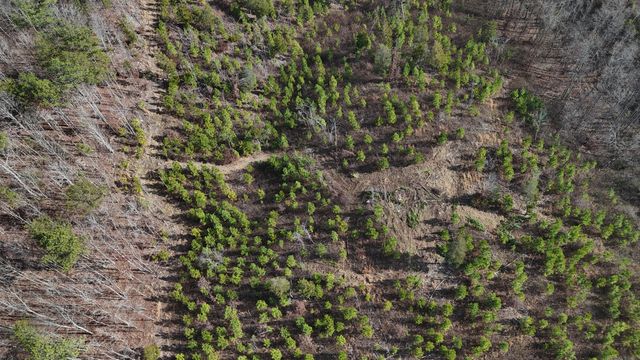 00 Big Sewee Lot 5, Decatur, TN 37322