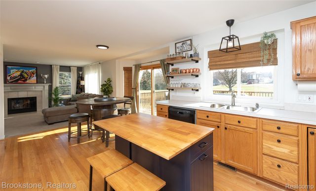 12567 BLUEBERRY Lane, Springfield Charter Township, MI 48350