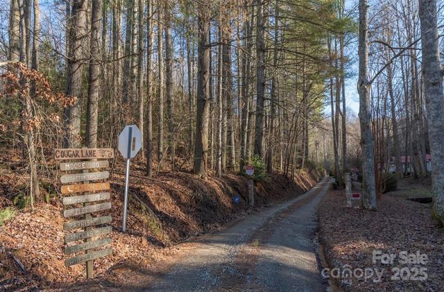 00 Cougar Lane, Whittier, NC 28789