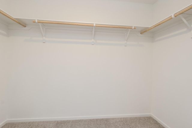 10812 Bird Of Paradise Lane, Houston, TX 77016