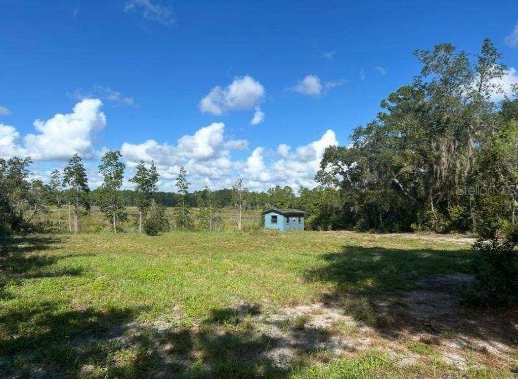 115 DIAMOND LAKE DRIVE, Crescent City, FL 32112