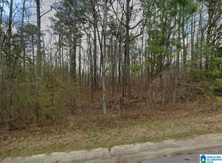 389 SHELBY SPRINGS FARMS, Calera, AL 35040