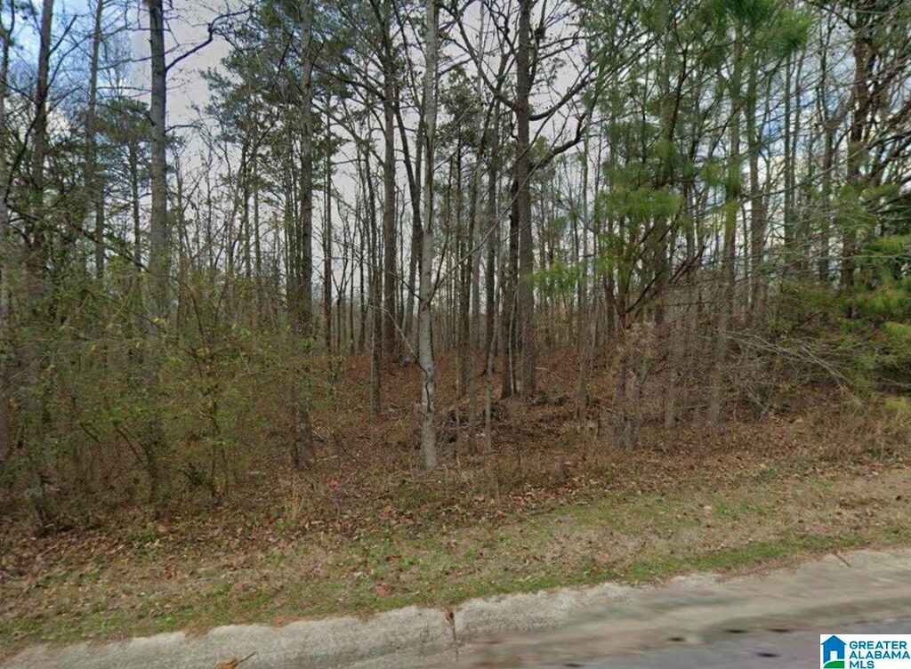 389 SHELBY SPRINGS FARMS, Calera, AL 35040