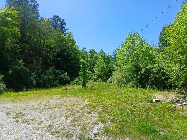 154 Arkle Road, Gray, KY 40734