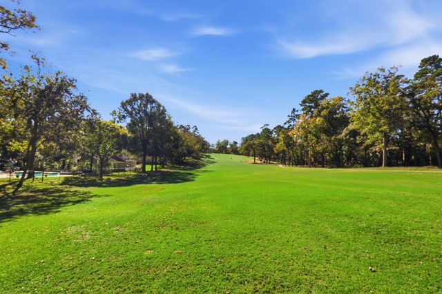 128 Blush Hill Drive, Conroe, TX 77304