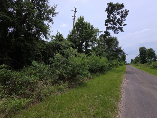TBD E Cattle Drive, Onalaska, TX 77360