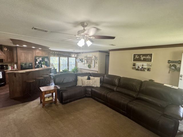 379 VZ COUNTY ROAD 4310, Ben Wheeler, TX 75754