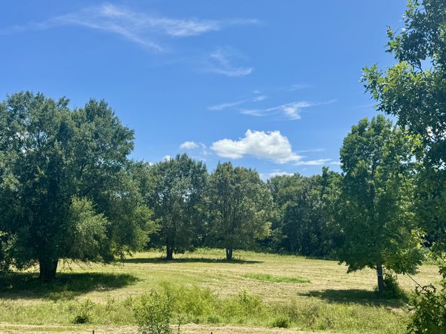 379 VZ COUNTY ROAD 4310, Ben Wheeler, TX 75754