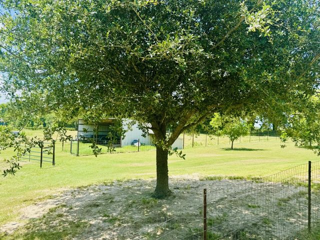 379 VZ COUNTY ROAD 4310, Ben Wheeler, TX 75754