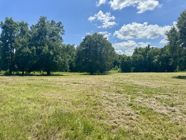 379 VZ COUNTY ROAD 4310, Ben Wheeler, TX 75754