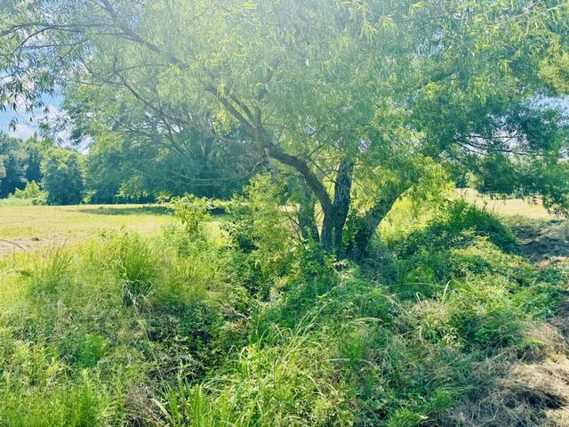 379 VZ COUNTY ROAD 4310, Ben Wheeler, TX 75754