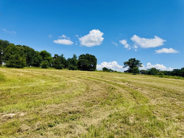 379 VZ COUNTY ROAD 4310, Ben Wheeler, TX 75754