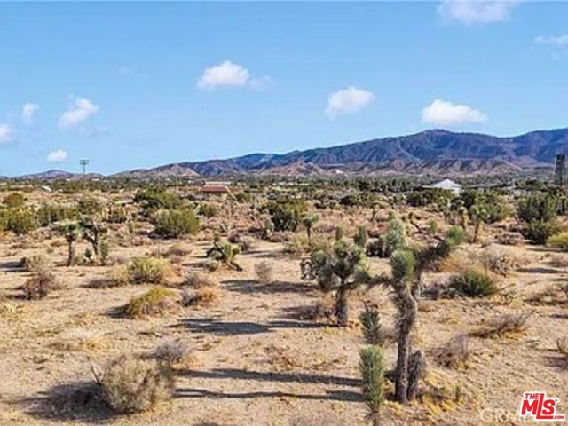 875 Locust Road, Pinon Hills, CA 92372