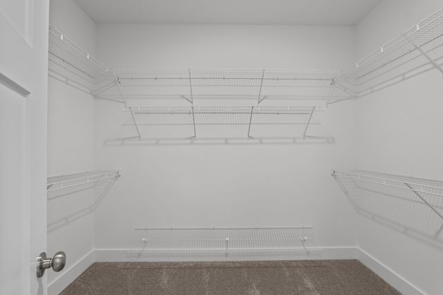 688 Ronaldsay Road, Grovetown, GA 30813