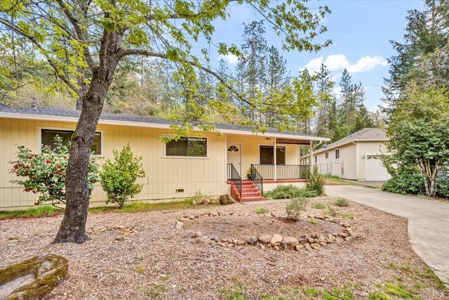 10005 Meadow Dr, Cobb, CA 95426