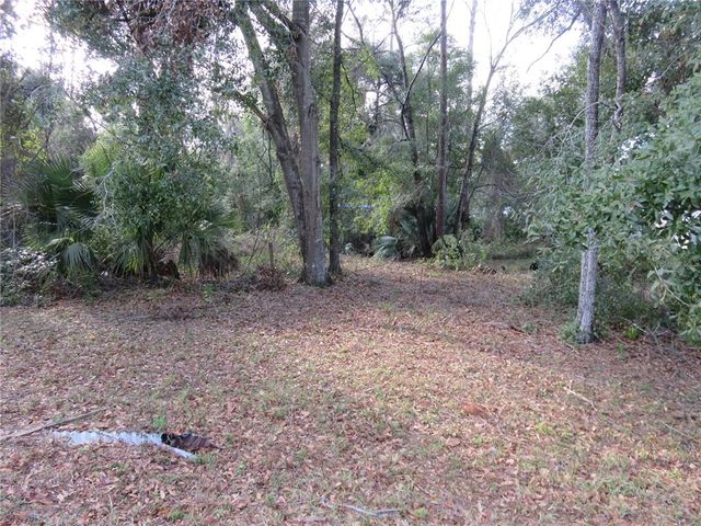 2234 SE 173RD COURT, Silver Springs, FL 34488