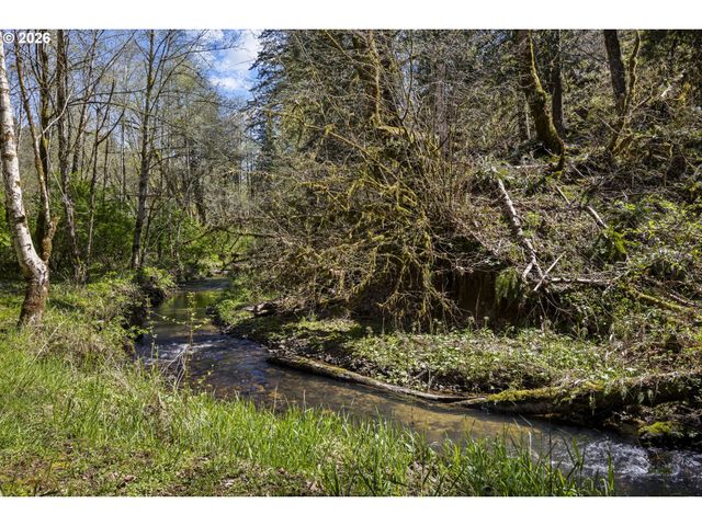 52368 Nw STRASSEL Rd, Banks, OR 97106
