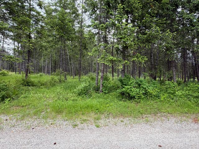 12572 E Parks RD, Athol, ID 83801