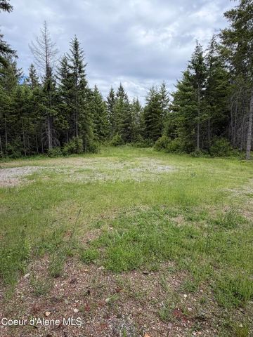 12572 E Parks RD, Athol, ID 83801