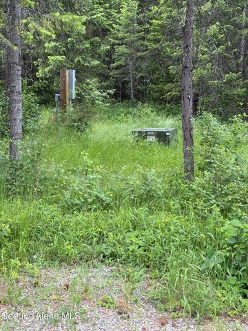 12572 E Parks RD, Athol, ID 83801
