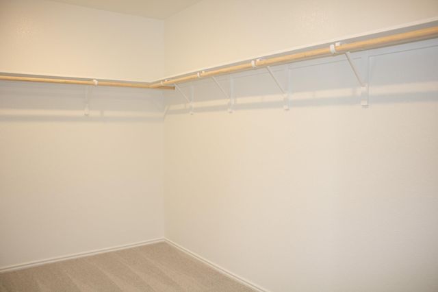 203 Donnington DR, Hutto, TX 78634