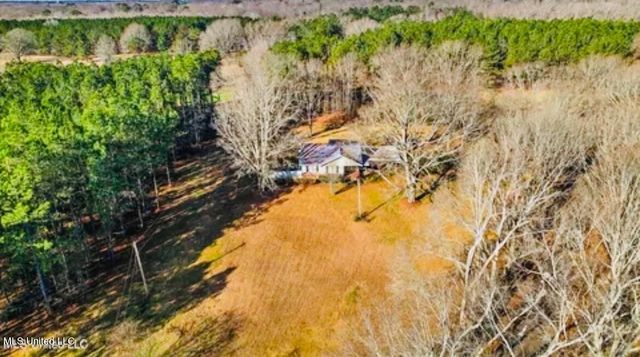 1039 Hall Lane, Raymond, MS 39154