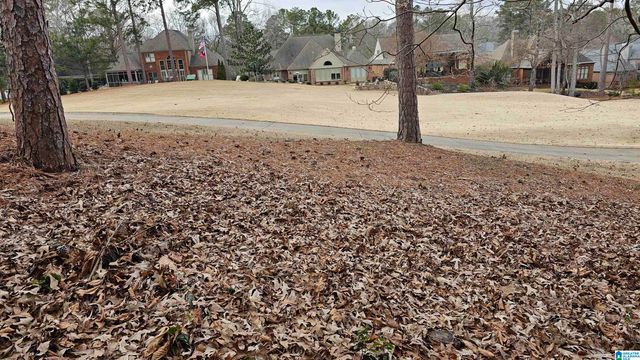 3028 OLD STONE DRIVE, Birmingham, AL 35242