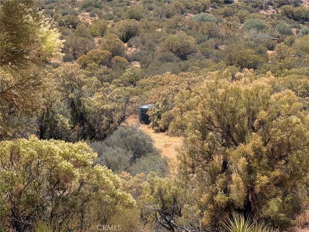 0 Upper Tule Road, Anza, CA 92539