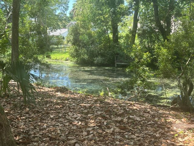 688 Pelzer Drive, Mount Pleasant, SC 29464