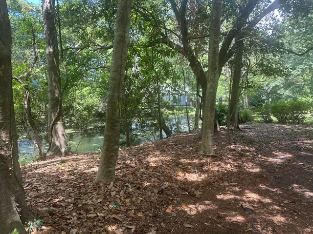 688 Pelzer Drive, Mount Pleasant, SC 29464