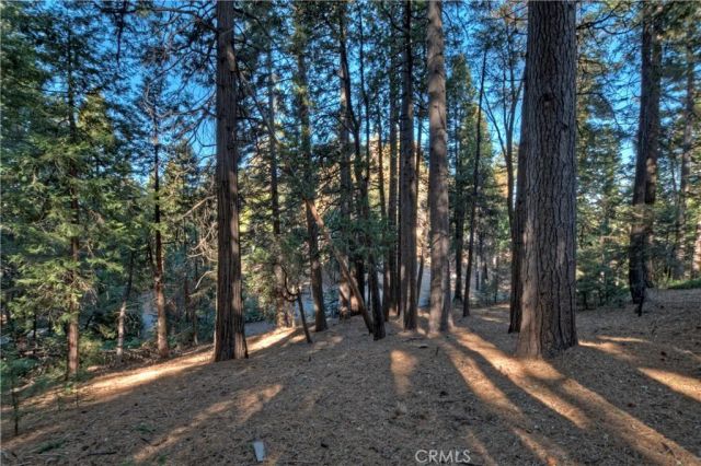 648 Crest Estates Drive, Lake Arrowhead, CA 92352