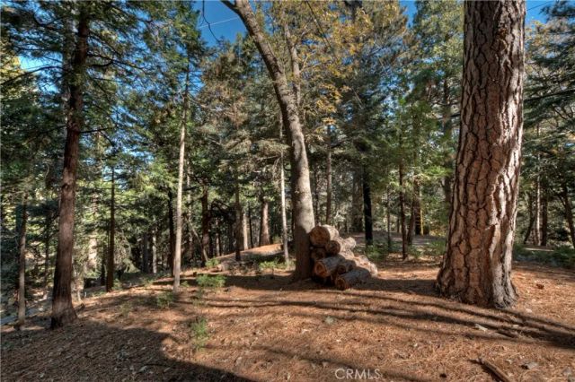 648 Crest Estates Drive, Lake Arrowhead, CA 92352