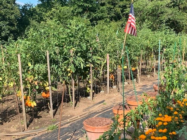 14 Stonybrook Ln 131, Middleton, MA 01949