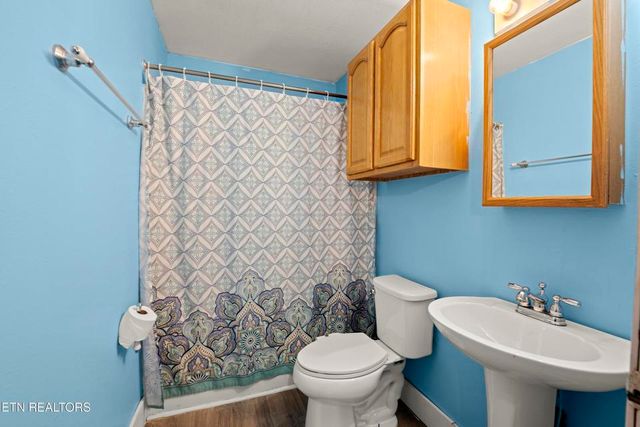 90 Illuminary Firetower Road, Spring City, TN 37381