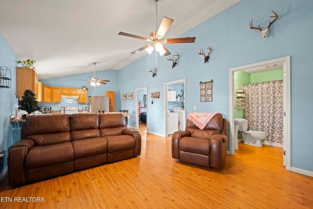 90 Illuminary Firetower Road, Spring City, TN 37381