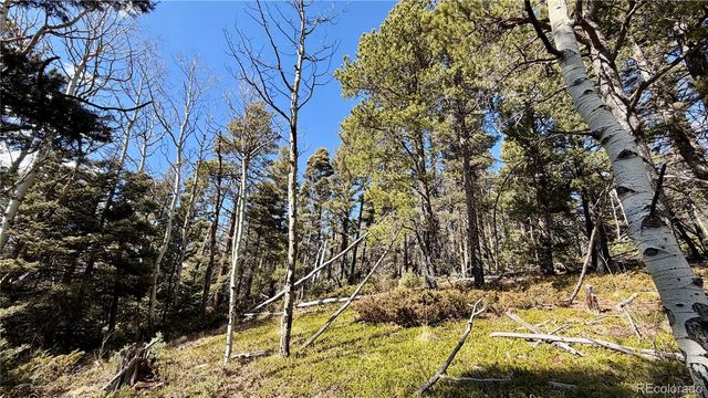2796 Moir Drive, Fort Garland, CO 81133