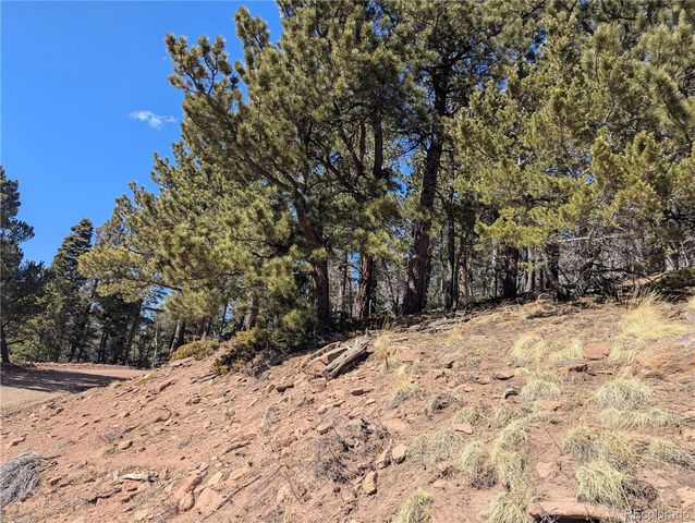 2796 Moir Drive, Fort Garland, CO 81133