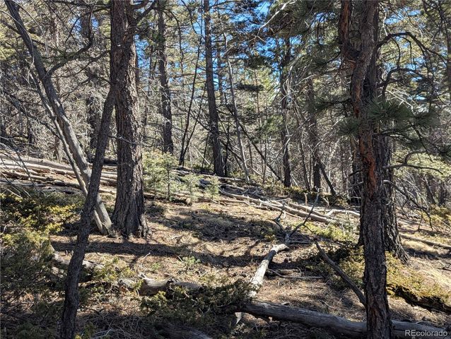 2796 Moir Drive, Fort Garland, CO 81133