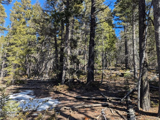 2796 Moir Drive, Fort Garland, CO 81133