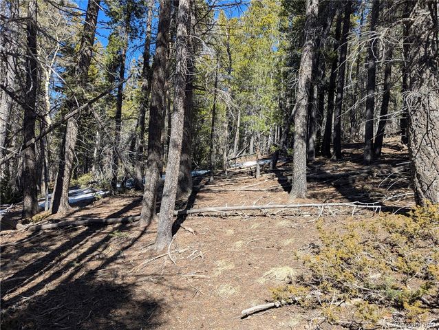 2796 Moir Drive, Fort Garland, CO 81133