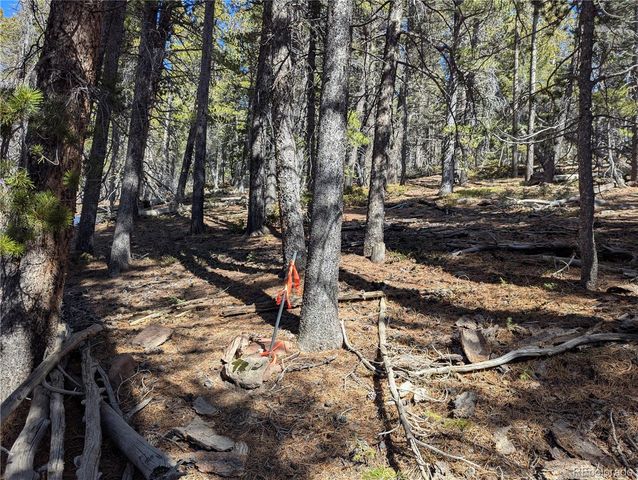 2796 Moir Drive, Fort Garland, CO 81133
