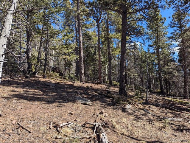 2796 Moir Drive, Fort Garland, CO 81133