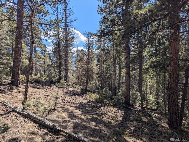 2796 Moir Drive, Fort Garland, CO 81133