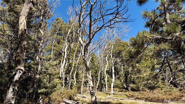 2796 Moir Drive, Fort Garland, CO 81133