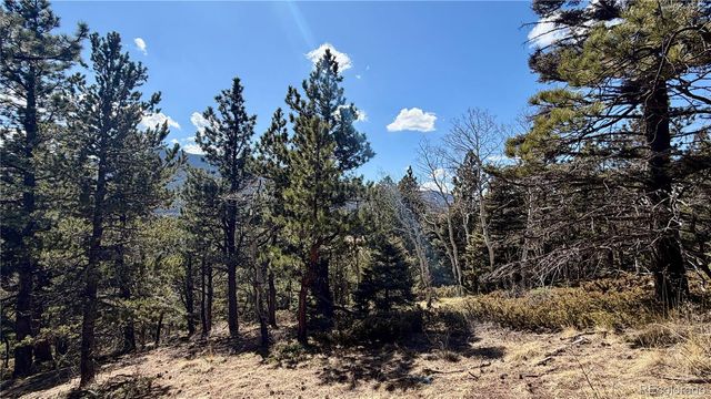 2796 Moir Drive, Fort Garland, CO 81133